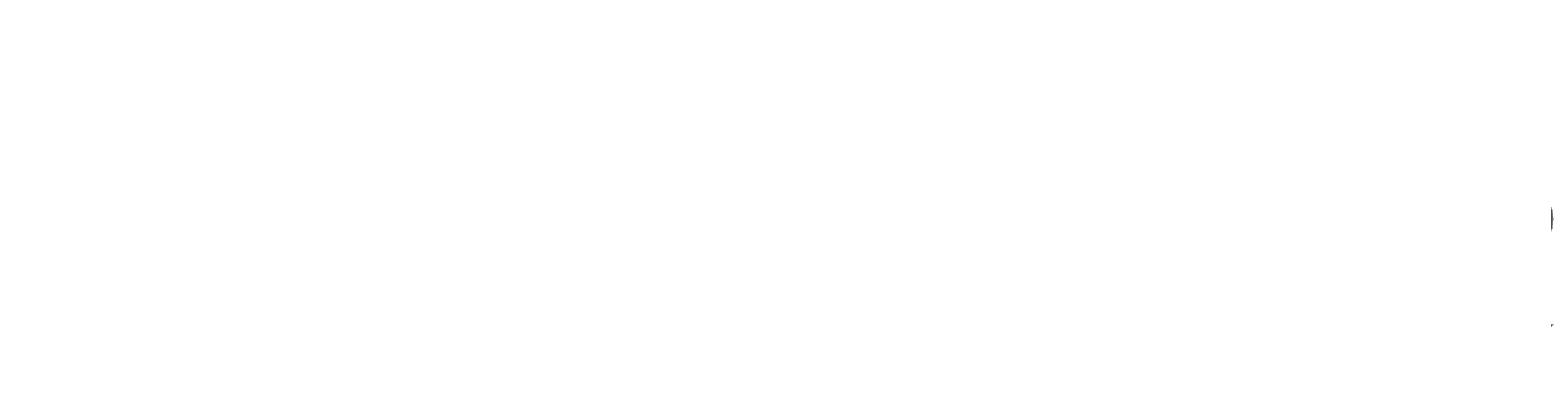 The New Times logo
